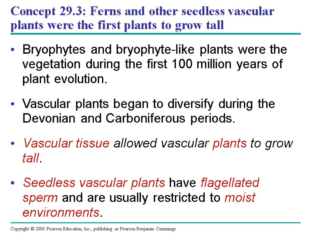 Concept 29.3: Ferns and other seedless vascular plants were the first plants to grow